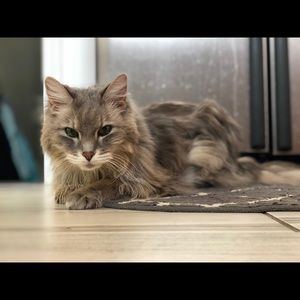 Meet your Posher, Jaime